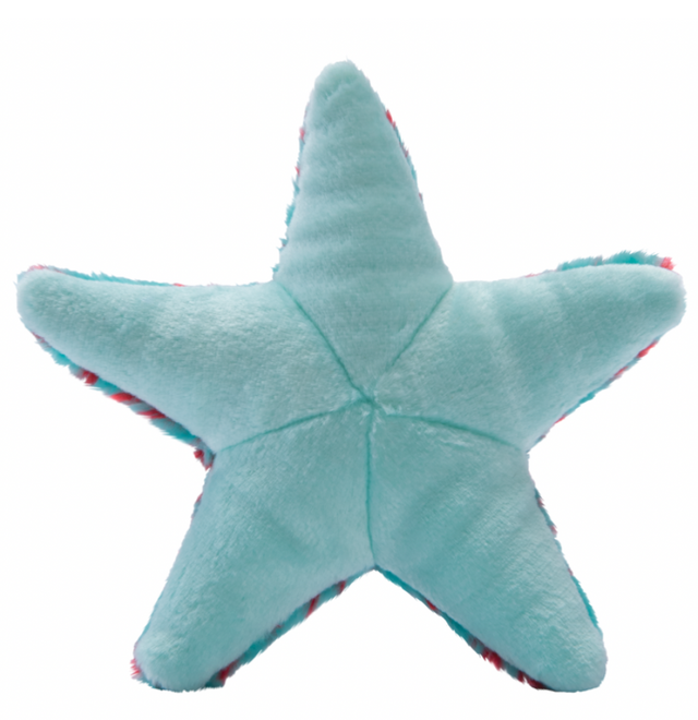 Ally Starfish