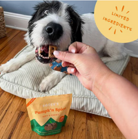 Pumpkin Spice Soft & Chewy Treats 6oz