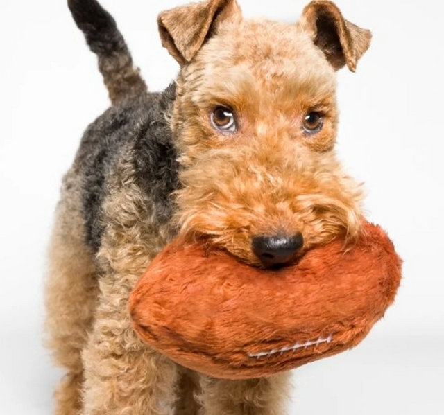 Plush Football