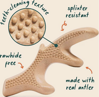 Honest Chew Antler, 3 sizes