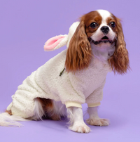 Halloween Sheep Costume