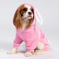Halloween Pink Bunny Costume