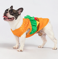 Halloween Burger Dog Costume