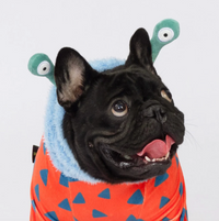 Halloween Monster Dog Costume