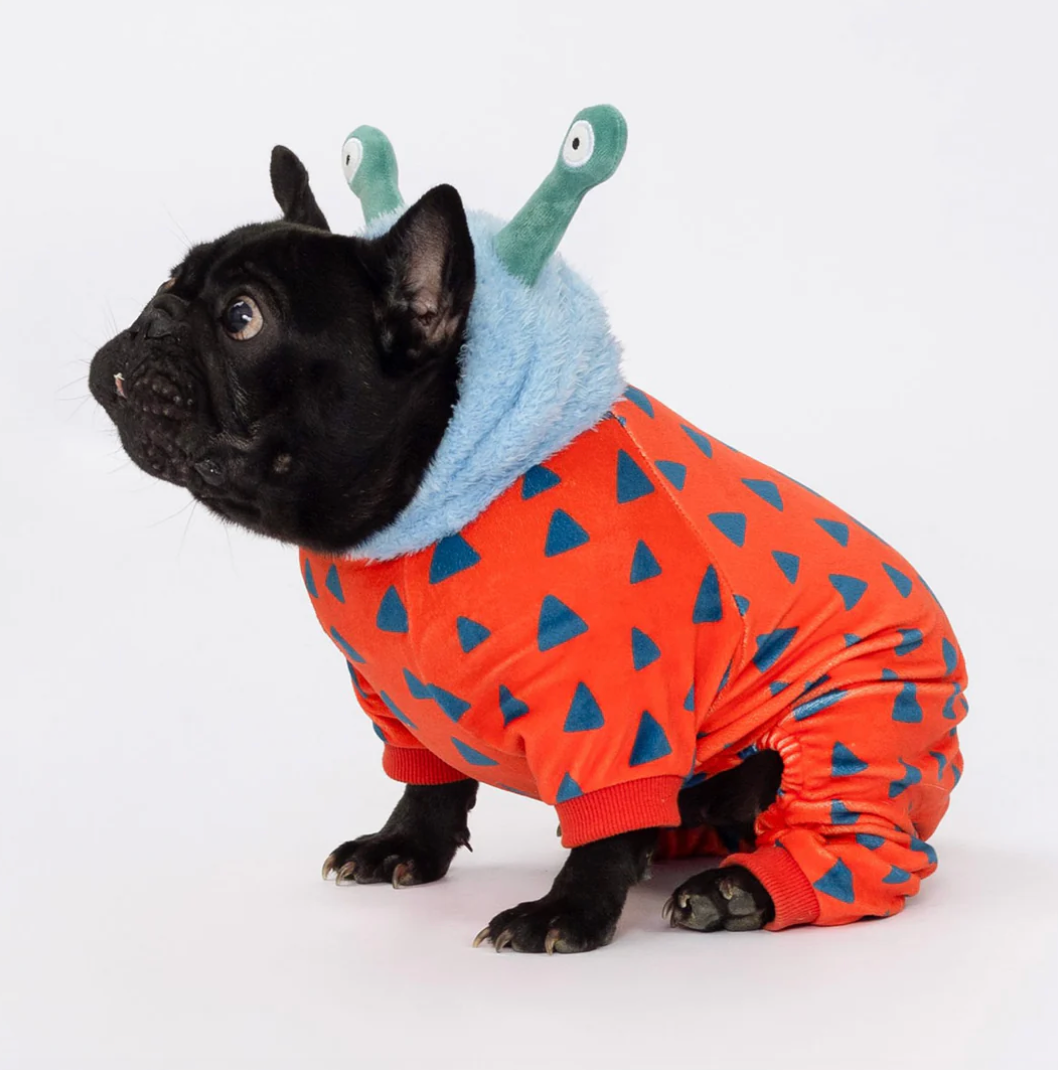 Halloween Monster Dog Costume
