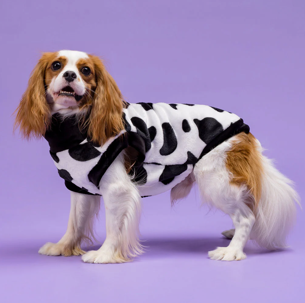 Halloween Cow Dog Costume