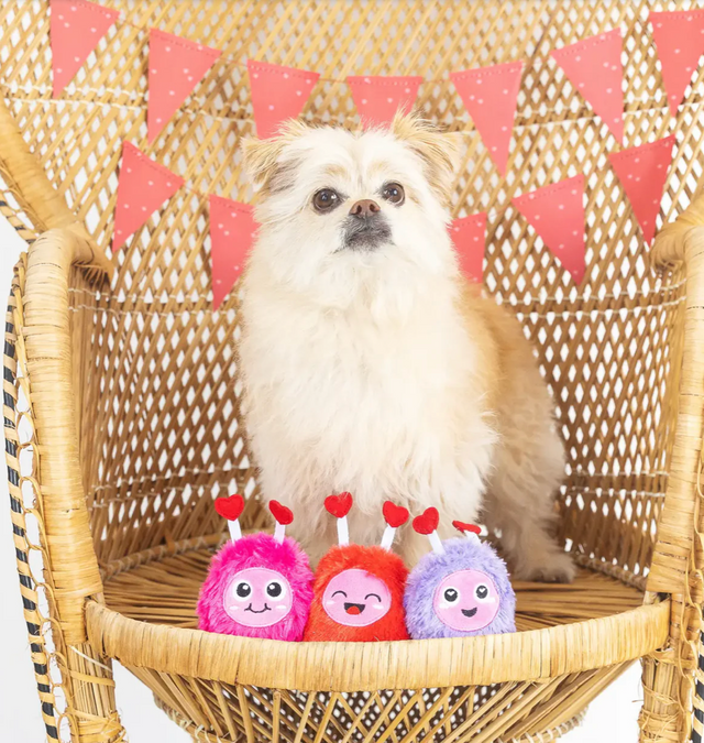 Love Connection 3 pc Toy