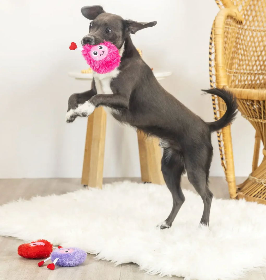 Love Connection 3 pc Toy