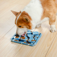 Foraging Mat, Blue Rock