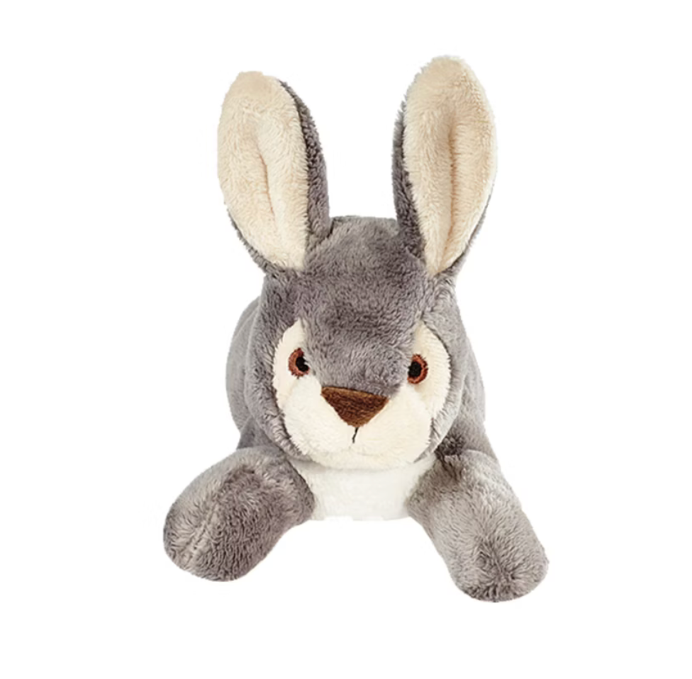 Jessica Bunny