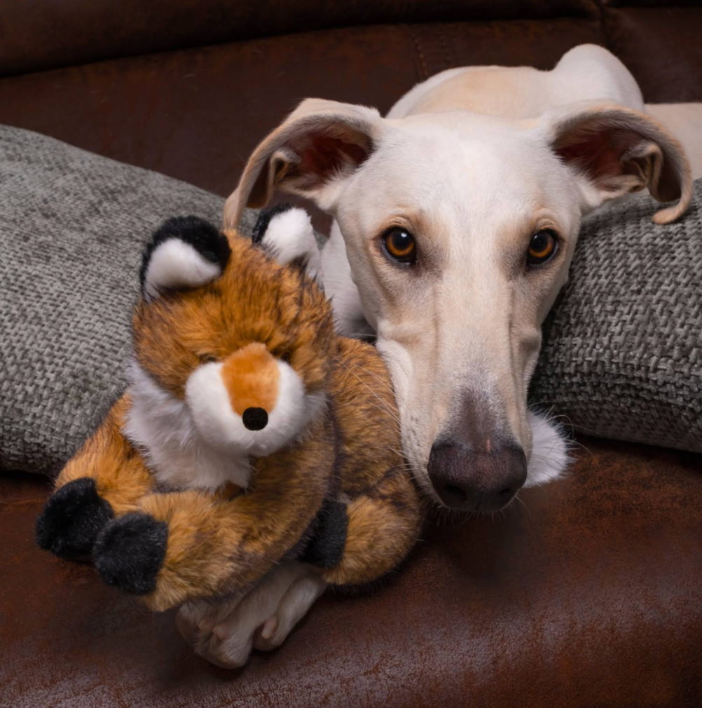 Jasper Fox - Squeakerless