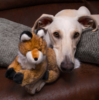 Jasper Fox - Squeakerless