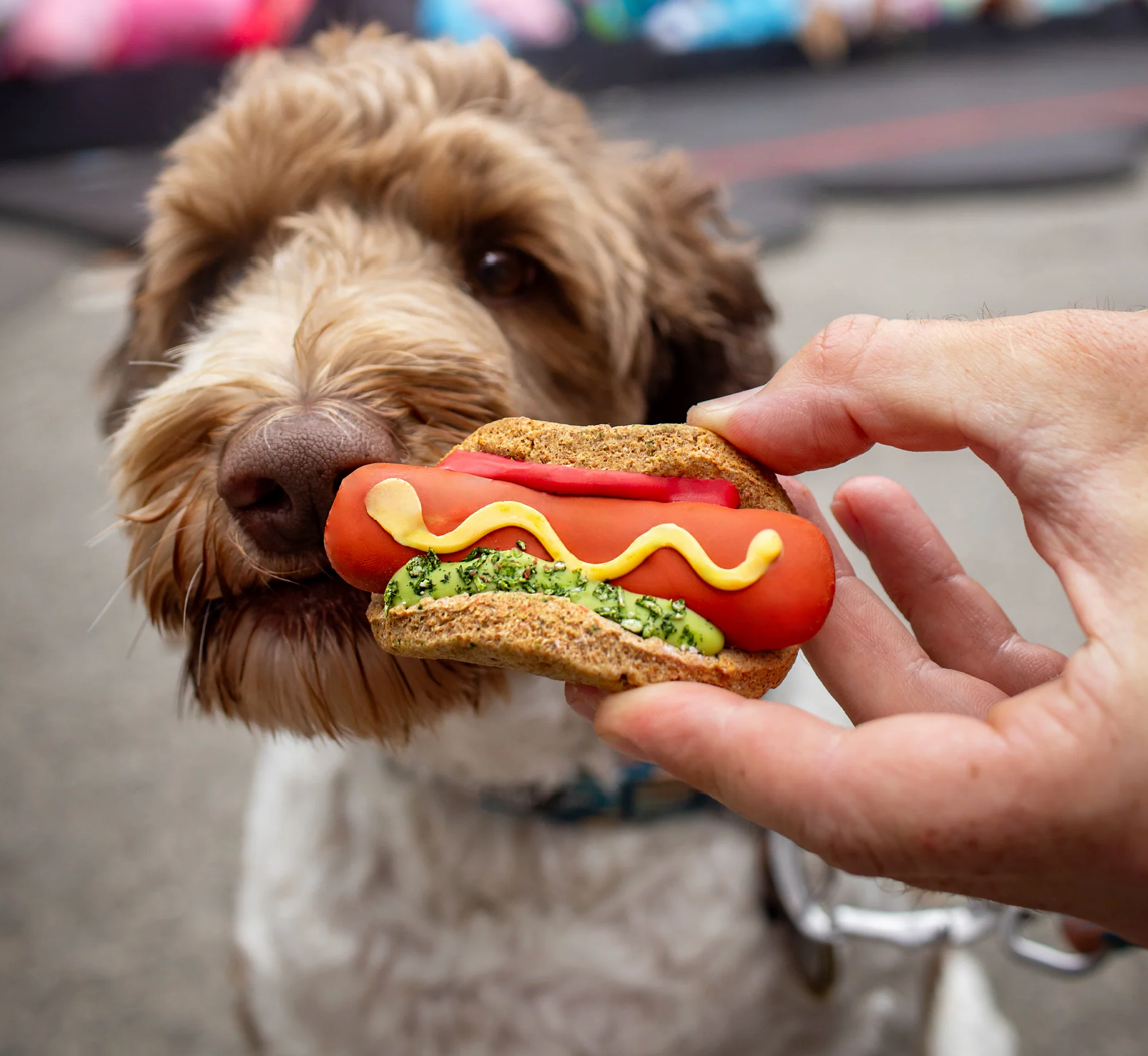 Hot Dog Dog Cookie