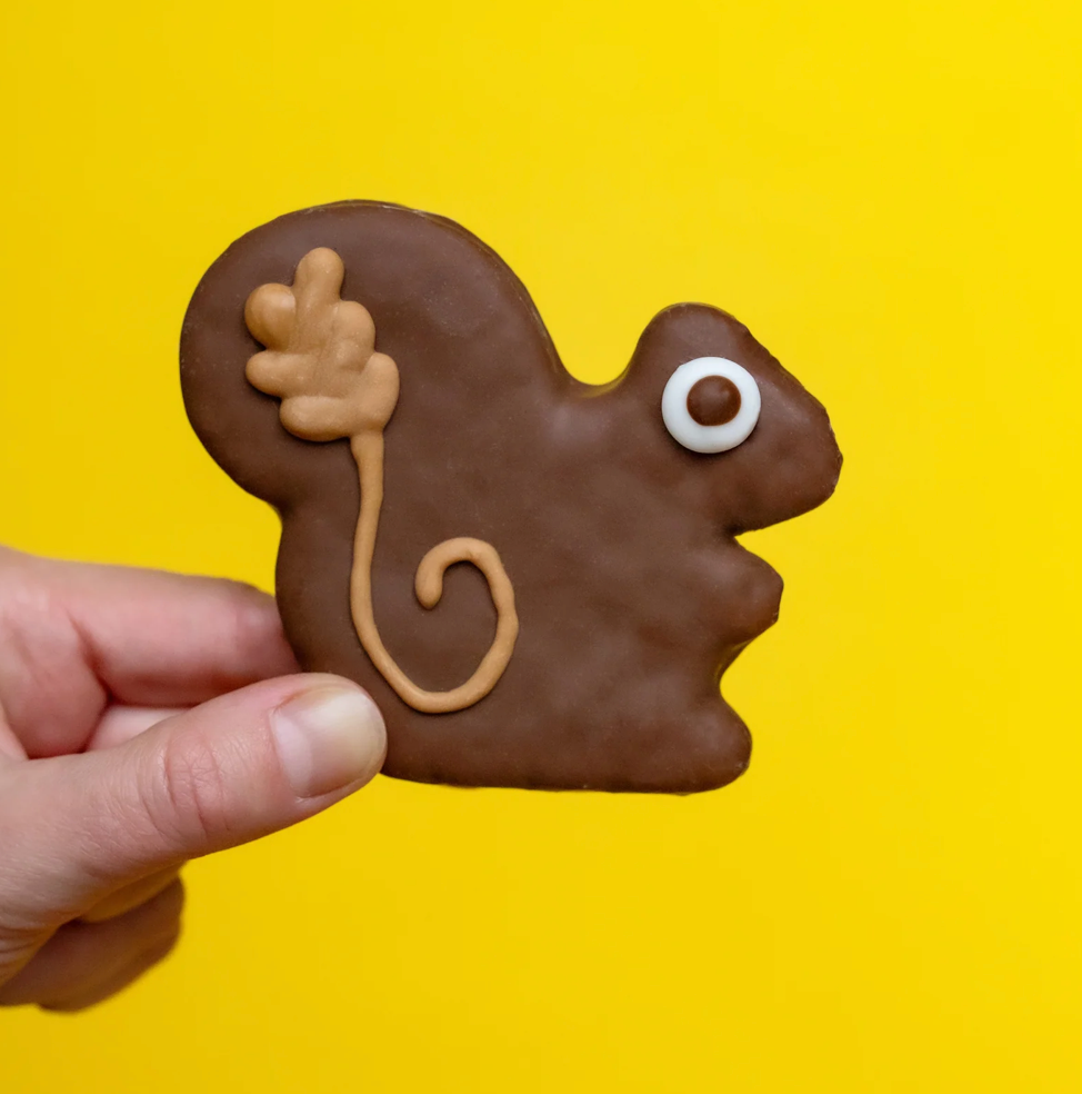 Squirrel Dog Cookie