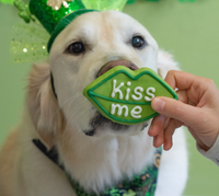 Kiss Me Lips Cookie