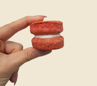 Macaroon Dog Cookie