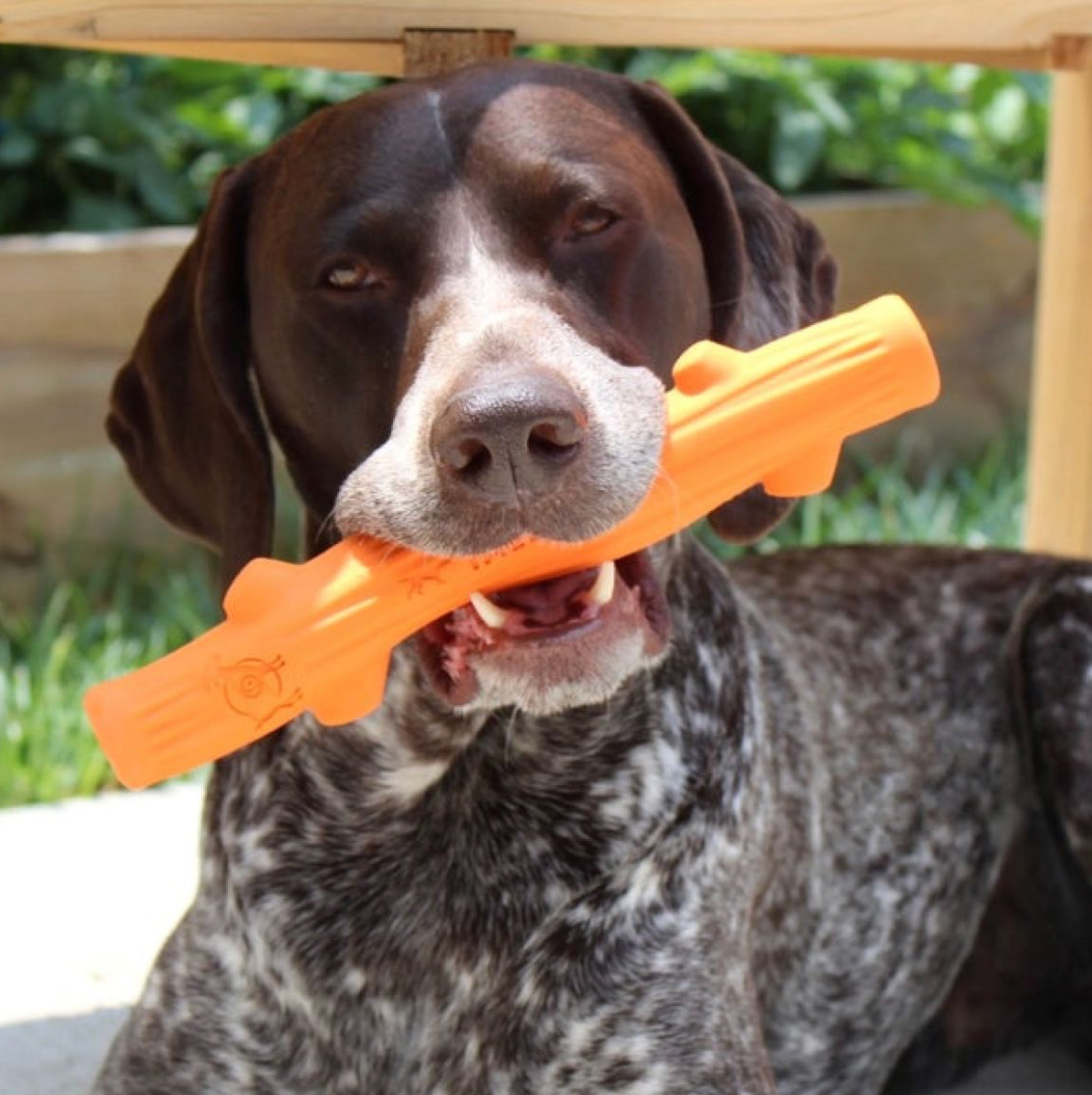 Orange Rubber Fetch Stick, 10"