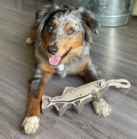Leather Trout Tug Toy