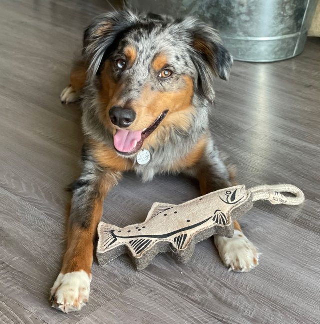 Leather Trout Tug Toy