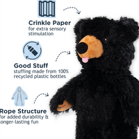 Stuffless Black Bear Dog Toy