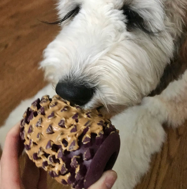 Pinecone Rubber Toy, 4 inches