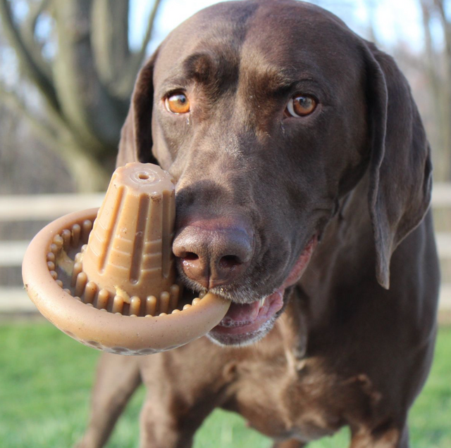Shroom Nylon Chew Toy, 5 inches
