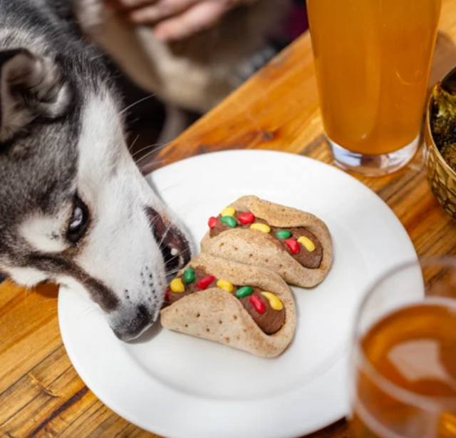 3D Taco Dog Cookie