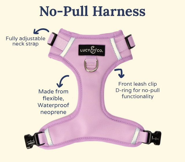 The Bouquet No-Pull Harness
