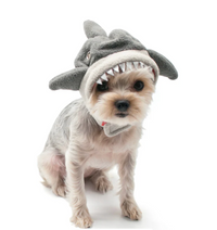 Shark Dog Hat