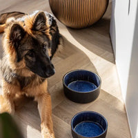 Ceramic Dog Bowl Manta Blue