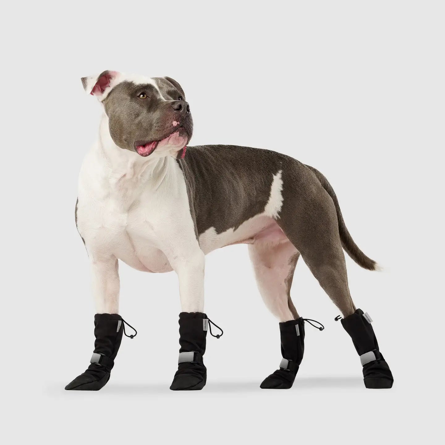 Soft Shield Boots, Black