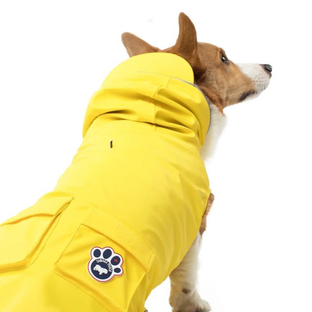 Torrential Tracker Raincoat