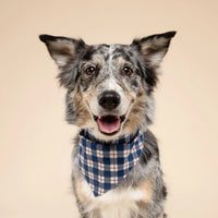 Blue Plaid Bandana, 3 Sizes