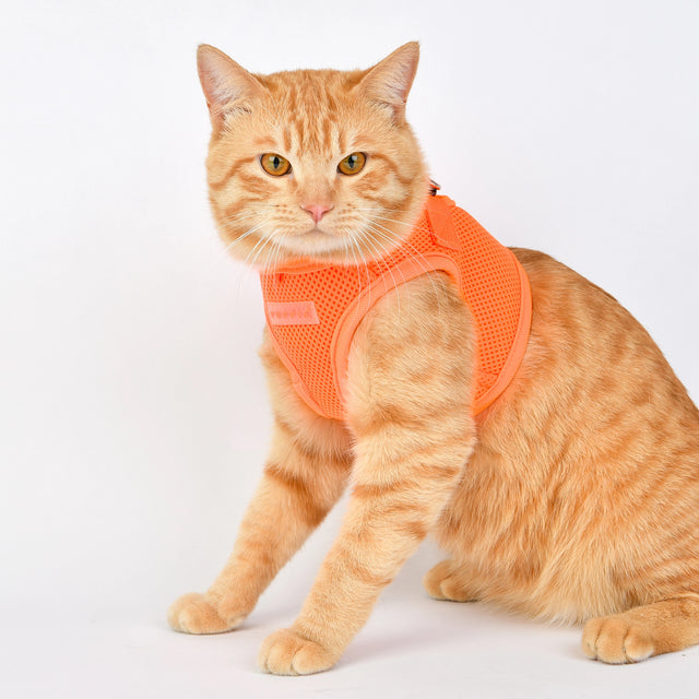 Puppia Neon Orange Soft Vest Dog Harness Step-in
