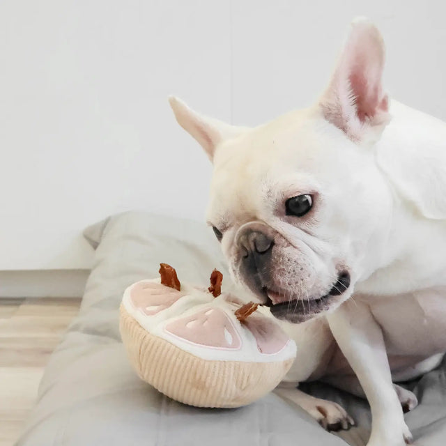Snuffle Grapefruit Enrichment Toy