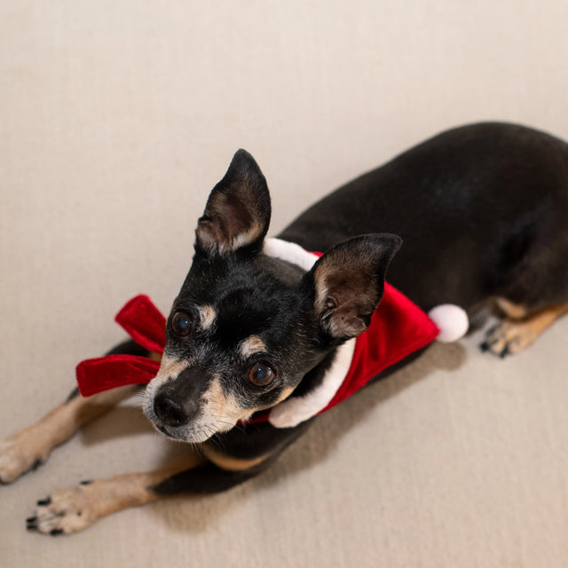 St Nick Bandana