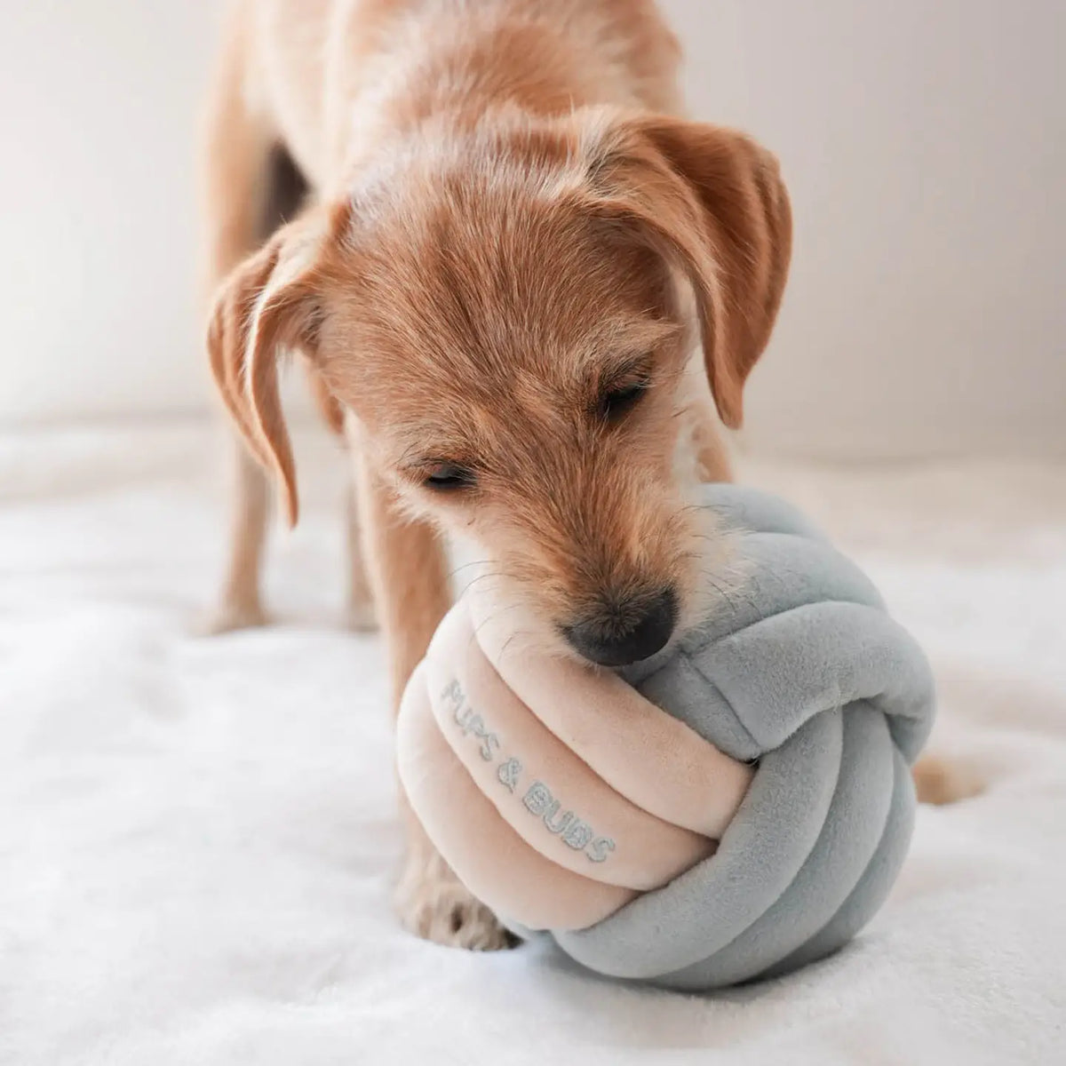 Snuffle Knot Nosework Toy – LoveThyBeast