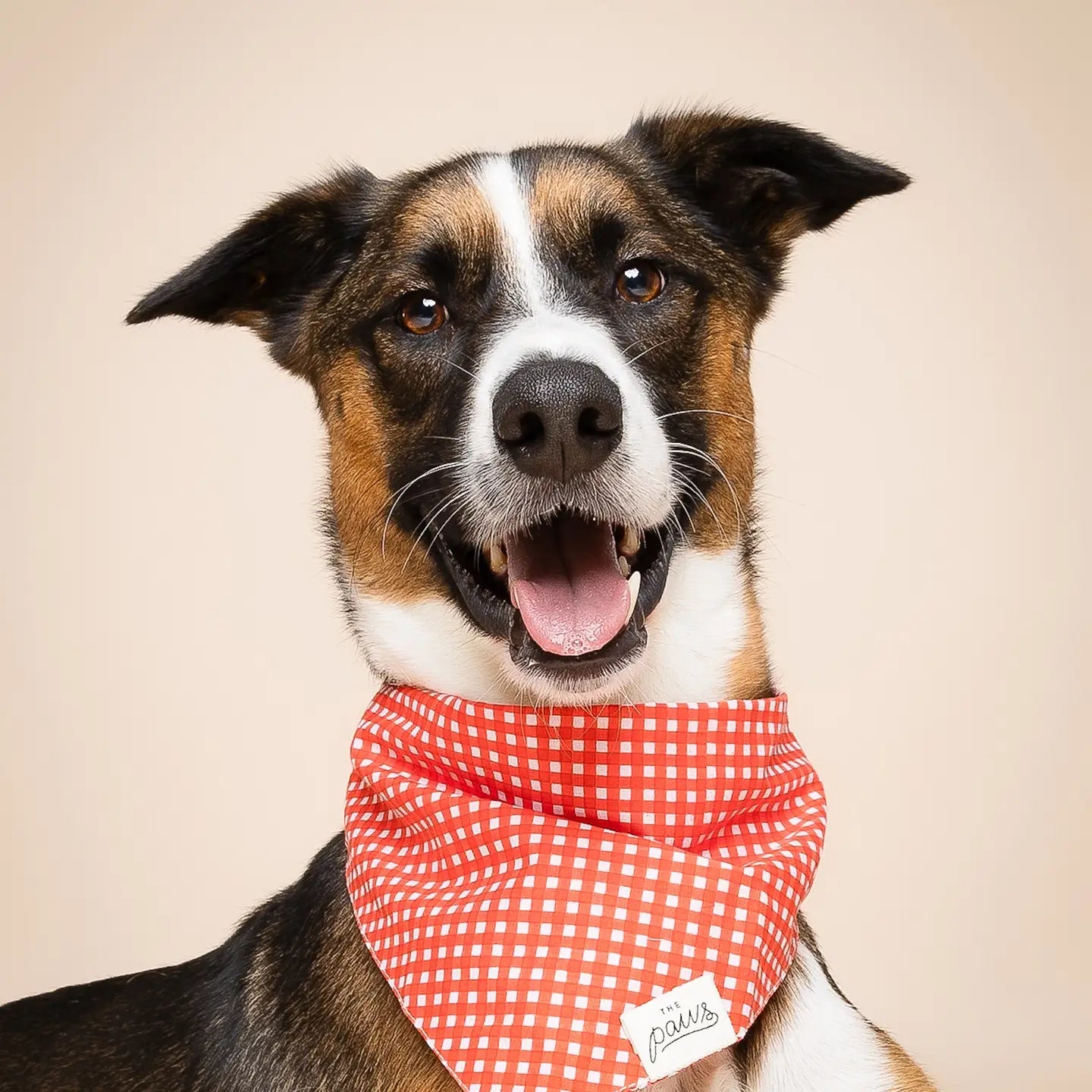 Red Gingham Picnic Bandana, 3 Sizes