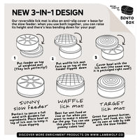 3 in 1 Bento Bowl