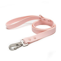 Rose Everyday PVC Leash