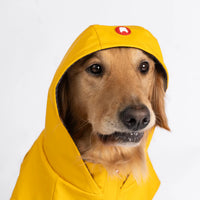 Silver Paw Sun Yellow Raincoat