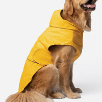 Silver Paw Sun Yellow Raincoat