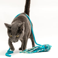 Ink Floyd Cat Toy with 4-Foot Tether