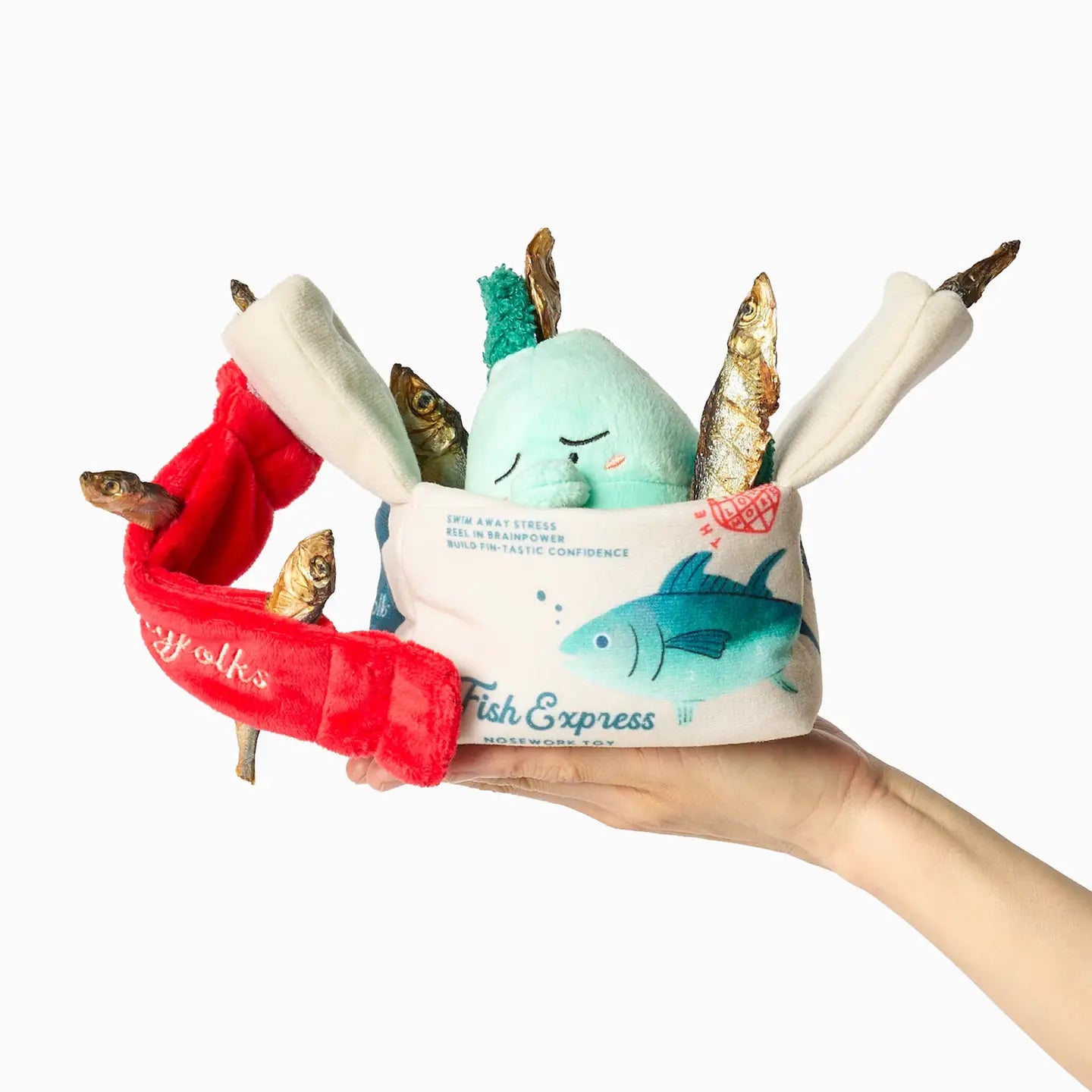 Fish Express Nosework Toy