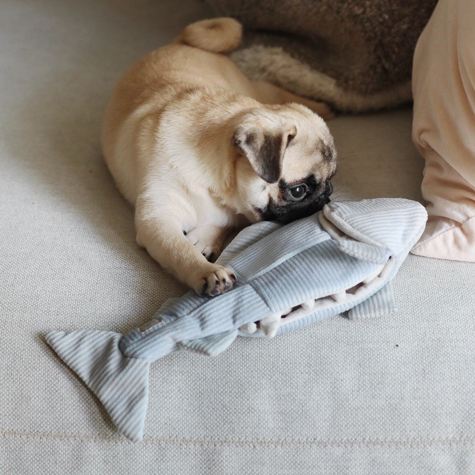 Trout Enrichment Dog Snuffle Toy