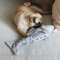 Trout Enrichment Dog Snuffle Toy