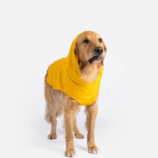 Silver Paw Sun Yellow Raincoat