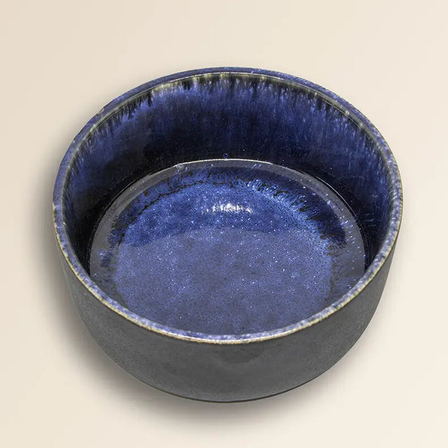 Ceramic Dog Bowl Manta Blue
