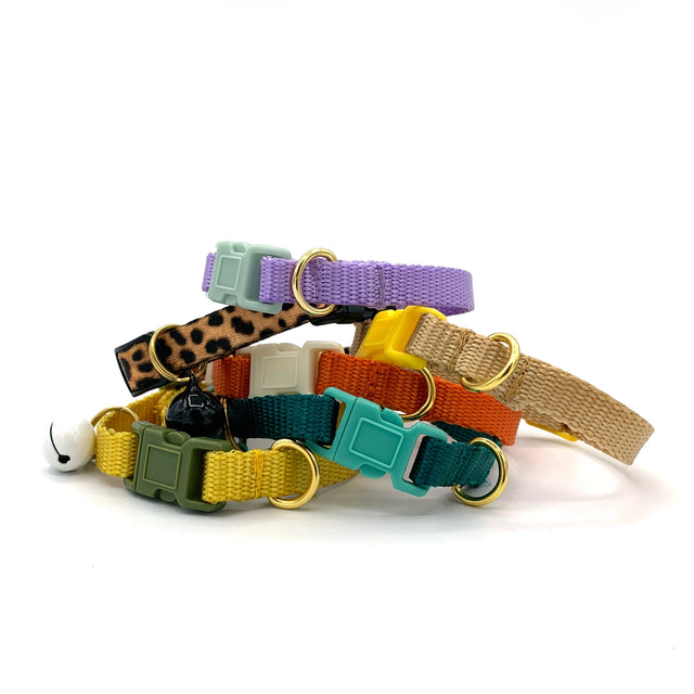 Breakaway Cat Collar, Turquoise