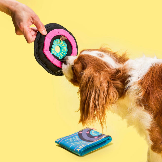Vinyl Record Nosework Toy